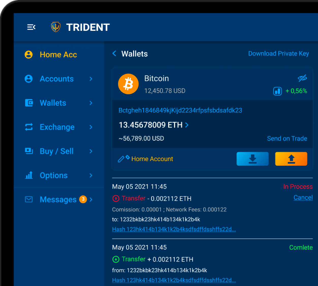 Trident Platform